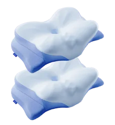 2 Ergo Pillows